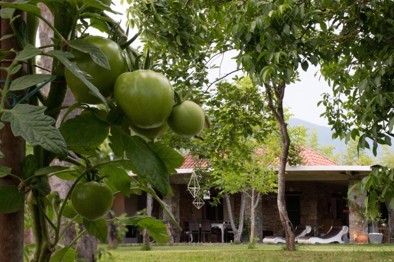 Ferienwohnung Sinanis Garden House Volos Exterior foto