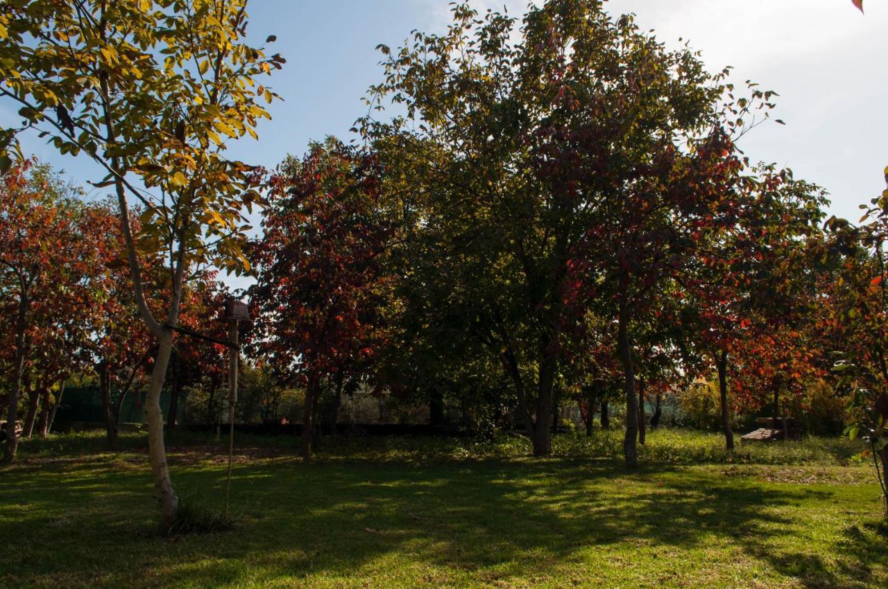 Ferienwohnung Sinanis Garden House Volos Exterior foto