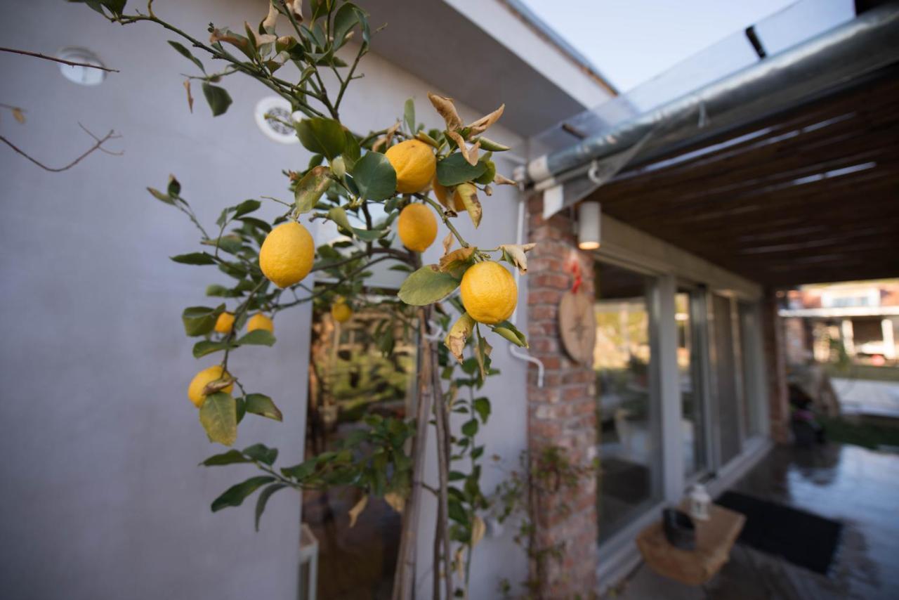Ferienwohnung Sinanis Garden House Volos Exterior foto